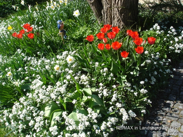 Garten im Fr�hling Doppelhaush�lfte Inning am Ammersee