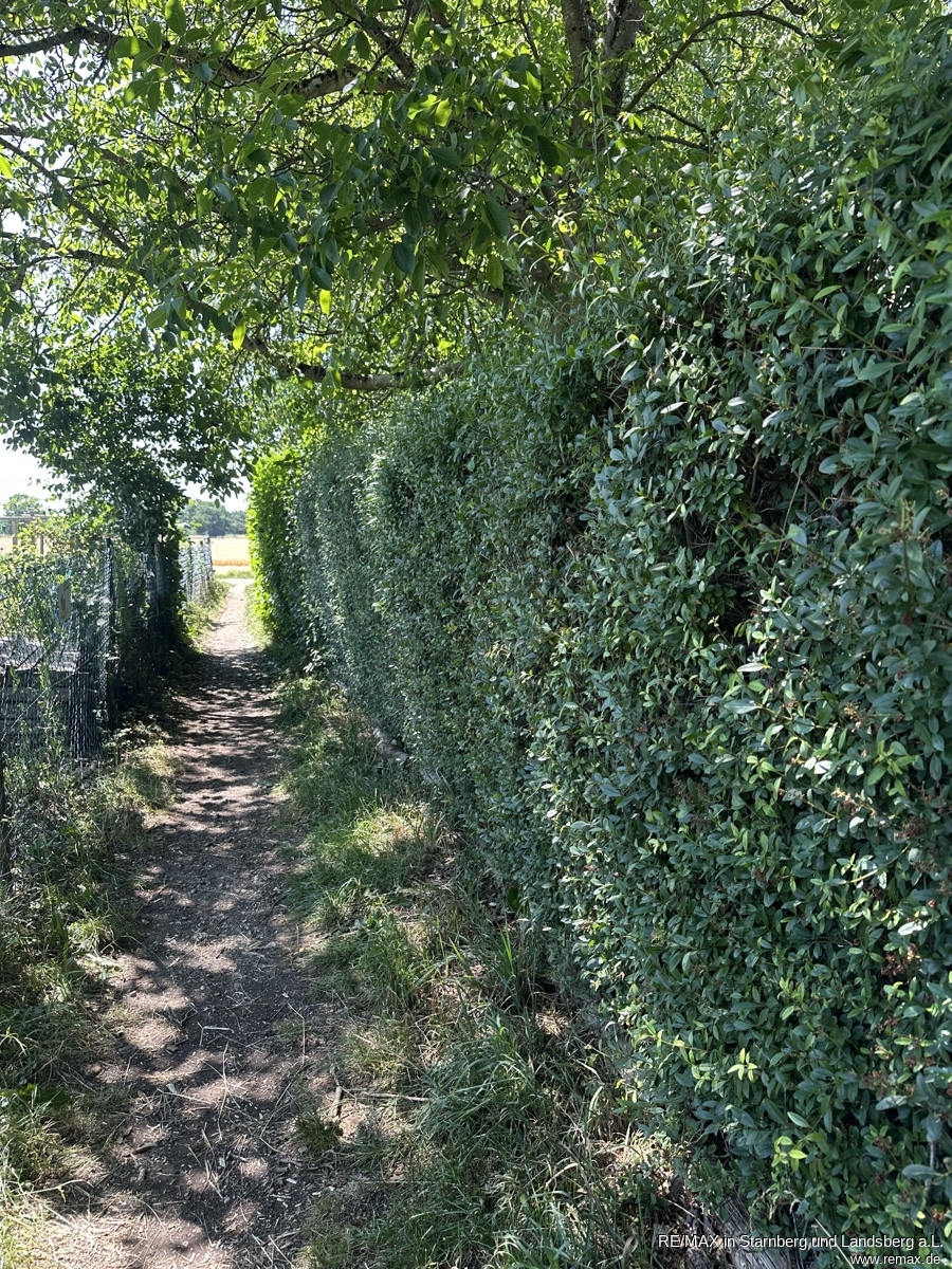 Weg zur Wiese im Umfeld Etagenwohnung M�nchen