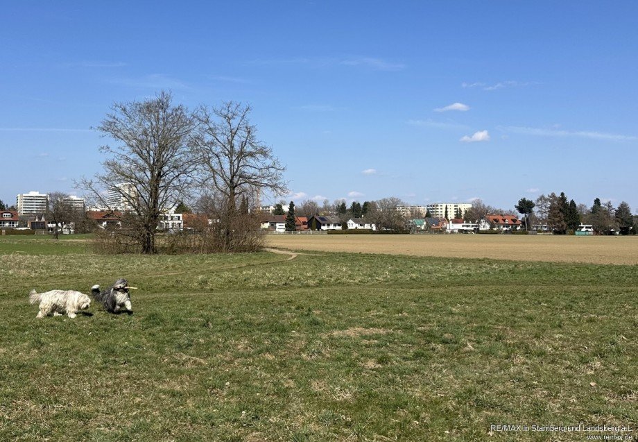 Wiese und Felder im Umfeld Etagenwohnung M�nchen