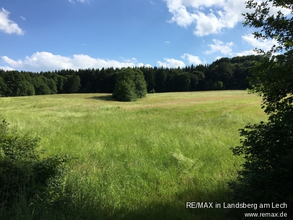 Umfeld Land- / Forstwirtschaft - Grdst. Scherstetten