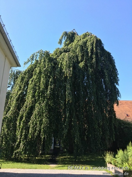 Umfeld Villa Mohr Maisonettewohnung M�nchen