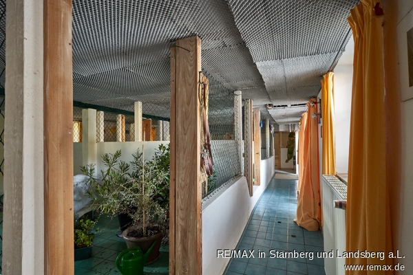 Hundepension Bauernhaus Waal