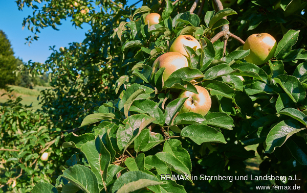 Garten Einfamilienhaus Langenneufnach