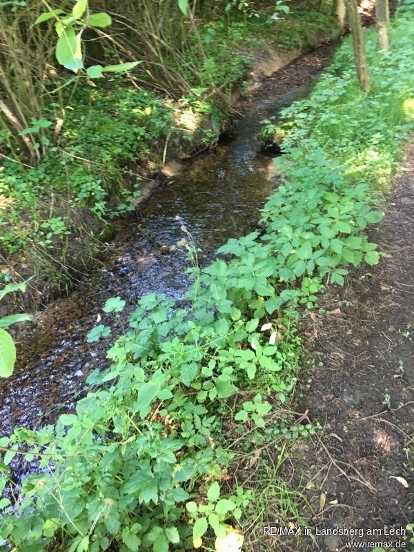 Bach bei der Wiese Land- / Forstwirtschaft - Grdst. Scherstetten