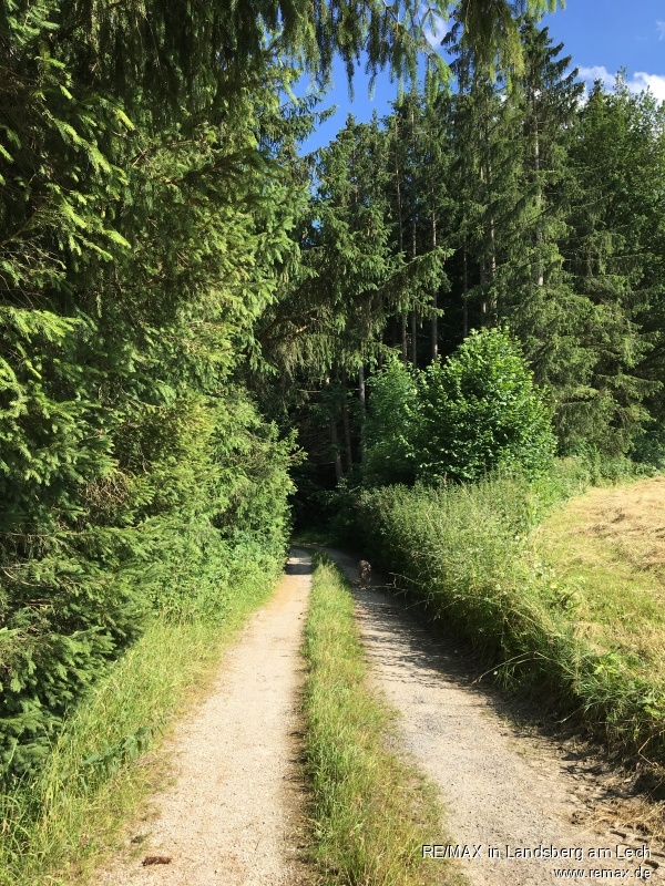 Weg zur Wiese Land- / Forstwirtschaft - Grdst. Scherstetten