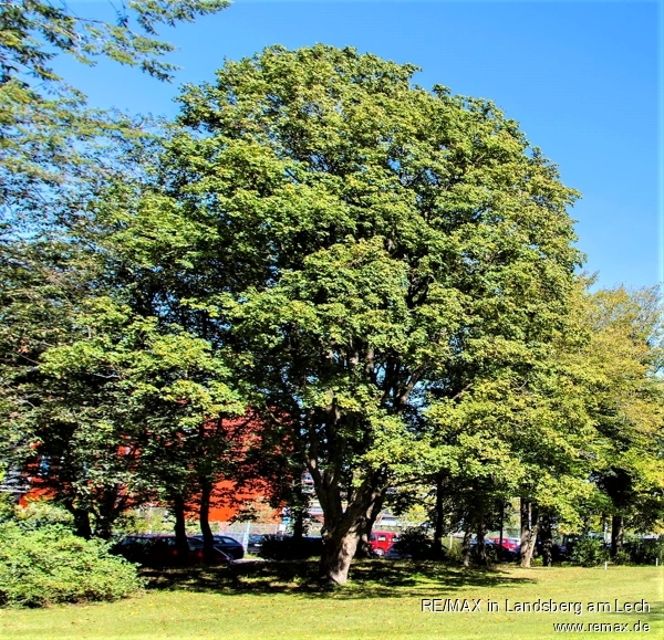 Park�hnliche Wohnanlage in Germering Etagenwohnung Germering