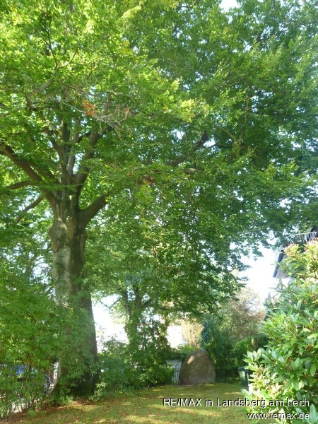 Garten vorn Erdgeschosswohnung Hamburg
