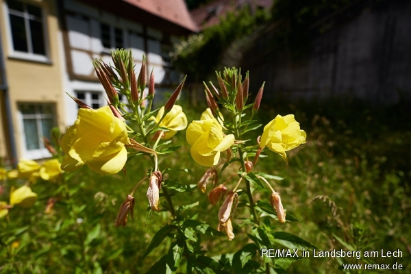 Garten Zweifamilienhaus Landsberg