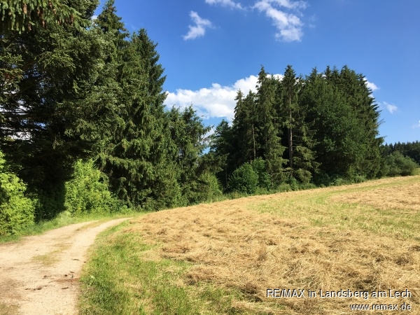 Weg zur Wiese Land- / Forstwirtschaft - Grdst. Scherstetten