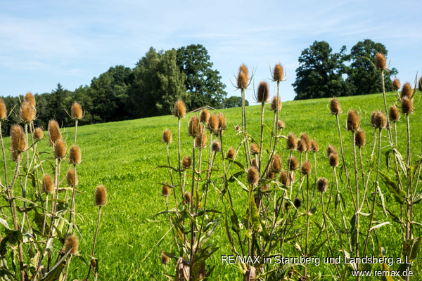 Umfeld Freizeitgrundst�ck Kaltental