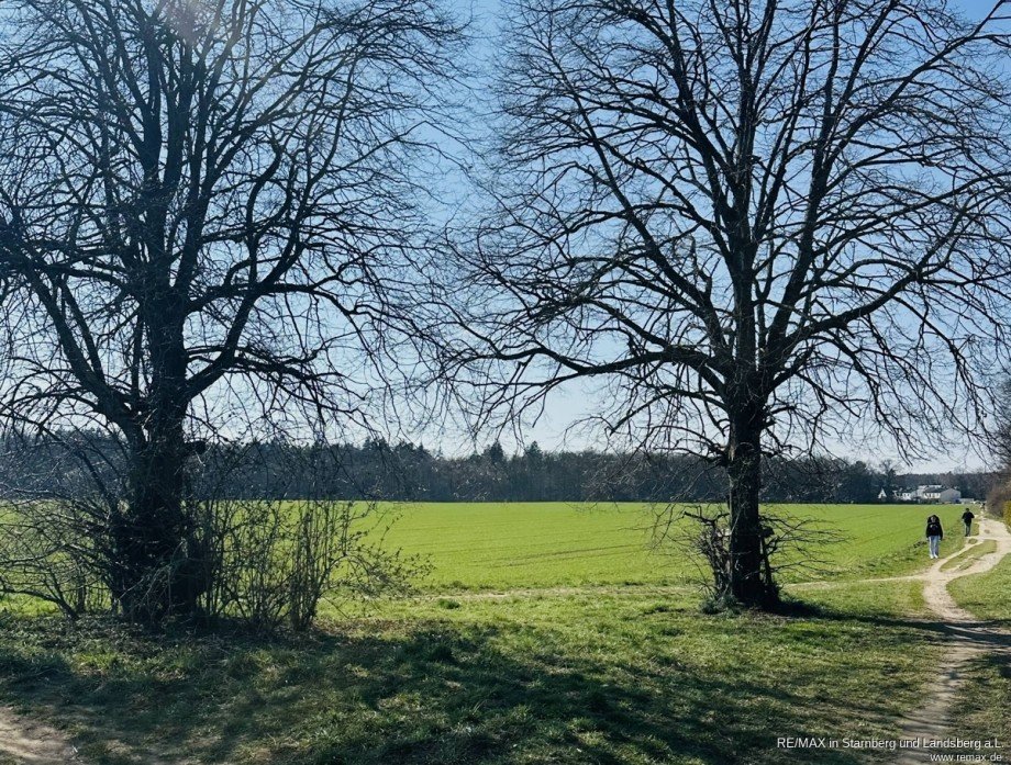 Wiese und Felder im Umfeld Etagenwohnung M�nchen