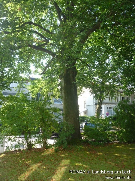 Garten vorn Erdgeschosswohnung Hamburg