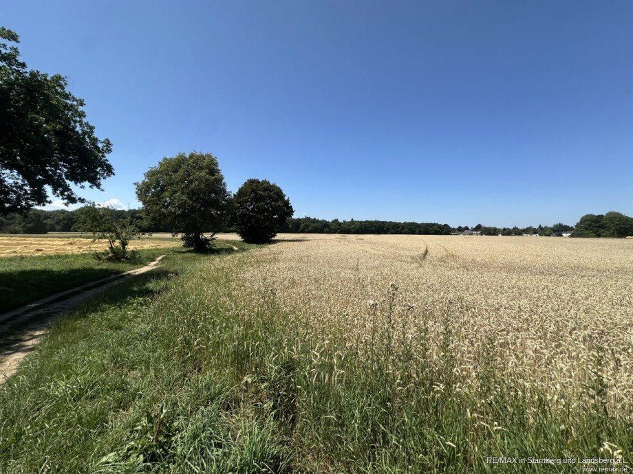 Wiese und Felder im Umfeld Etagenwohnung M�nchen